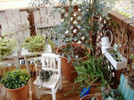 DSCF8294.JPG