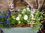 DSCF8304.JPG