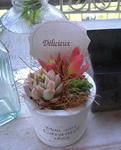 DSCF8312.JPG