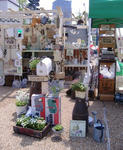 DSCF8331.JPG