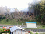 DSCF8440.JPG