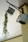 DSCF8599.JPG