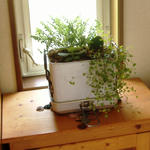 DSCF8597.JPG