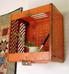 DSCF8596.JPG