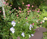 DSCF8620.JPG