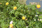 DSCF8622.JPG