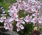 DSCF8623.JPG