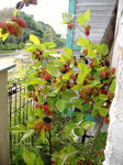DSCF8626.JPG