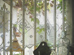DSCF8617.JPG