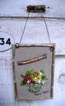 DSCF8700.JPG