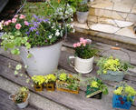DSCF8712.JPG