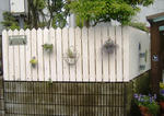 DSCF8703.JPG