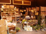 DSCF8744.JPG