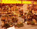 DSCF8743.JPG