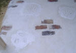 DSCF8922.JPG