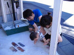 DSCF8917.JPG