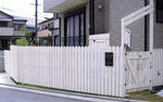 DSCF8943.JPG