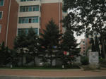 002.JPG