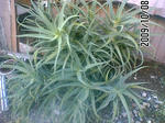 PA0_0006.JPG