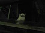 080503_02.jpg