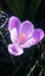 080321.JPG