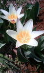 080327.JPG