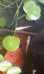 080401.JPG