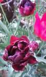 080423.JPG
