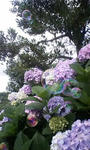 080630.JPG