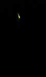 100606_2119~01.JPG