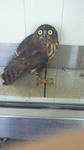201008280955000.jpg
