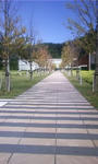 110924_1144~01.JPG
