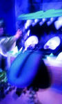 111114_1308~01.JPG