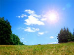 sunny.jpg
