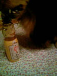 curryramune.jpg