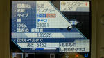 NEC_0096.JPG