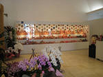 0378453d.jpg