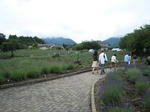 IMG_0475.JPG