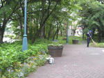IMG_0481.JPG