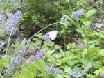 IMG_0589.JPG