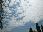 IMG_0615.JPG