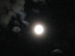 IMG_0687.JPG