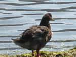 IMG_0771.JPG