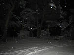 IMG_1069.JPG