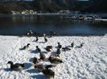 IMG_1073.JPG