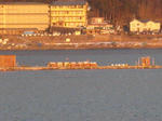 IMG_1092.JPG
