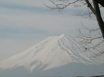 IMG_1306.JPG