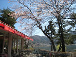 07d045d2.jpg