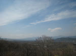 2ea0121e.jpg