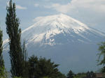 IMG_1387.JPG